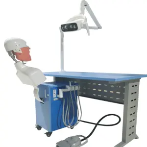 No Drawer Dental Simulation Practice System Oral Therapy Equipment Dental Simulator Manikin Dental Unit