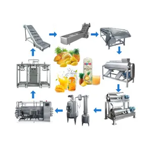 Fruit Pulp Juice Concentrate Beverage Making Machine Mango and Pineapple Drinks Processing Production Line