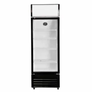Bar Refrigeration Equipment Upright Display Glass Door Fridge Stand pepsi Cooler