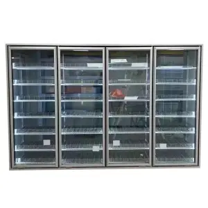 Commercial Freezer Glass Door Cold Storage Cabinet for Walk-in Cooler & Reach Case Display Refrigeration Equipment