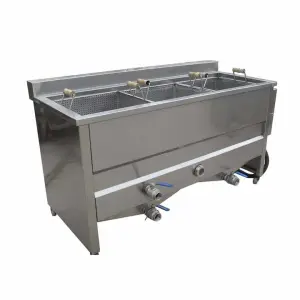 Manual Type Electric Potato Chips Fryer Machine