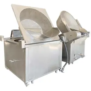 Potato Chip Fried Food Fried Chicken 304 Stainless Steel Vacuum Fryer