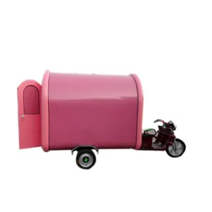 Smoothie Vending Machine Top caravan Ice Cream Bicycle  3 Wheel Food Truck