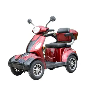 Electric Scooter 800W Electric Tricycle Motorcycle Adult Four Wheels Motorcycles