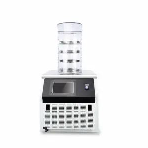 DW-10N Drying Equipment Tabletop Freeze Dryer for Freeze Drying Food Laboratory Biomedical Samples