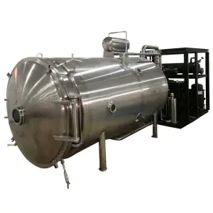 DYE Freeze Dryer Dried Fruits Machine Vegetable Food Freeze-drying Equipment