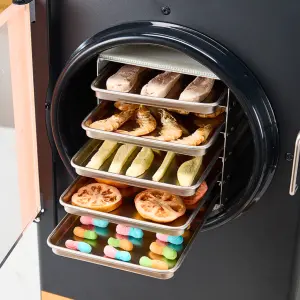 DALLE  Manufacturer 6Kg Small Lyophilizer Vacuum Automatic Food Freeze Machine Home Freeze Dryer