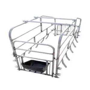 Automatic For Pig Farm Equipment With  Galvanized Designed Pig Farrowing Crate
