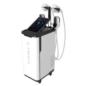 4 Handle 5T Body Sculpting Fat Freezing Coolsculpting Cryolipolysis Slimming Machine EMSlim for Cryotherapy