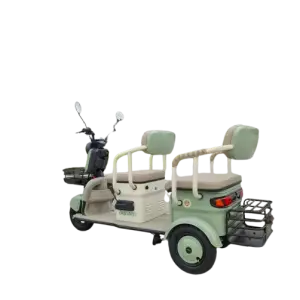 3 Wheel Electric Tricycle 800w 60v32ah