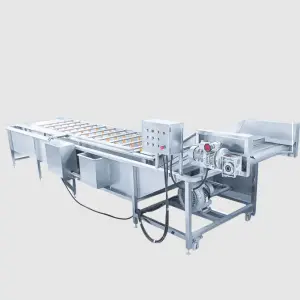 Fully Automatic Washing Machine Small Stainless Steel Bubble Washer for Fruit & Vegetables