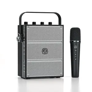 40W Portable Bluetooth Speaker Professional PA Speaker With Wireless Mic for Meeting Karaoke