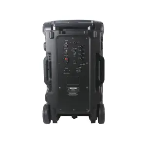 12-inch Portable Speaker Supports Bluetooth with Built-in Battery and Microphones for Parties, Outdoor Activities and Trips