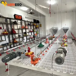 Complete Chicken Poultry Feed Line Project Farm Equipment for Automatic Chicken Feeder Poultry Automatic Feeding System