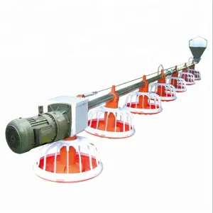 of Automatic Poultry Feeding System Broiler and Breeder Pan Feeder