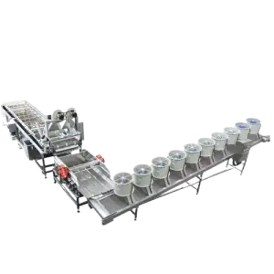 Vegetables and Fruit Processing Sugarcane Spray Cleaning Coconut Meat Washing Machine