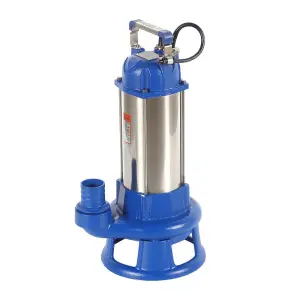 WQ 220V High-Pressure Stainless Steel Screw Pump 2HP DC Motor for Agriculture