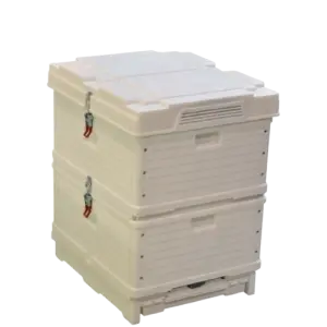 2 Level Plastic Beehive for Beekeeping / Thermo Beehive / Color Beehive
