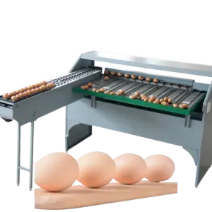 Automatic Egg Duck Sorting Machine 304 Stainless Steel Egg Grader Egg Weight Grading Machine