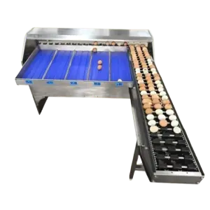 Egg Weight Sorting Machine / Egg Sorting Machine