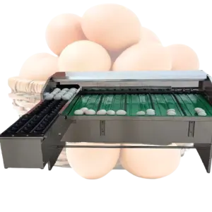 Automatic Egg 3 Size Grading Sorter Machine for Small Operation
