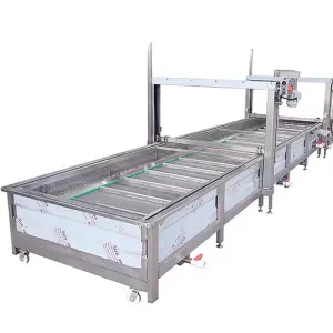 Automatic Bubble Cleaning and Fresh-cut Vegetable Cleaning Machine for Commercial Vegetable Processing Plants to Clean
