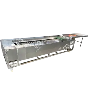 Fruit Sorting Conveyor Olive Sort Olive Grading Machine Papaya Grader Guava Papaya Pear Sorting Machine