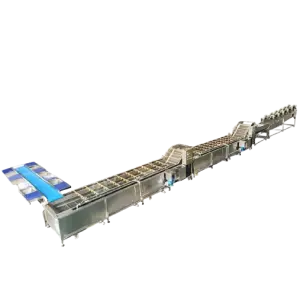 Large Scale Mango Fruit Cleaning Grading Waxing and Packing Avocado Sorting and Washing Machine