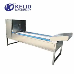 Cherry Seed Remover Machine Date Olive Hawthorn Fruit Pitting Machine