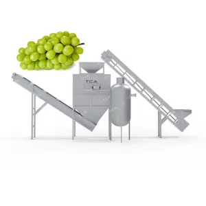 Industrial Automatic Steam Fruit Apple Peach Grape Peeling Processing Machinery Fruit Vegetable Peeling Machine