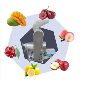 Fruit and Vegetable Industry Juicer Food and Beverage Extractor