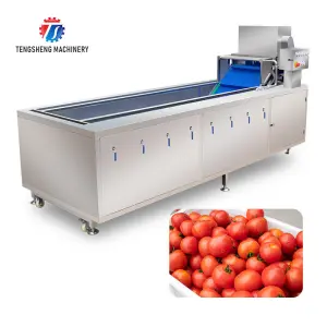 Automatic Cleaning Blanching Machine Food French Fries Potato Chips Potato Vegetable Washing and Blanching Machine