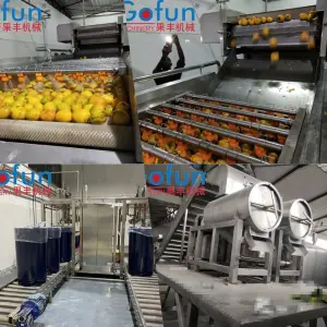 Mango Processing Line Machine Multifunctional mango Juice Dried Fruit Puree Pulp Compound Juice Production Line