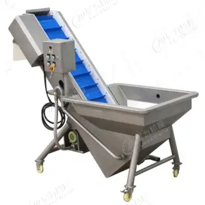 LWT Vegetable and Fruit Washing Machine Bubble Cleaning Machine for Cabbage Lettuce Pepper Washer