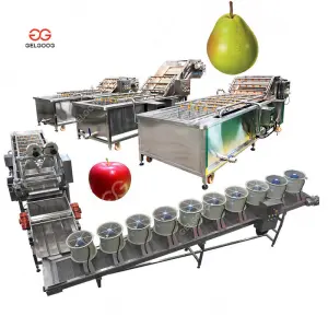 Fruit Apples Peel Wash Clean Wax Slicing Washing and Air Dryer Machine for Vegetable and Fruit