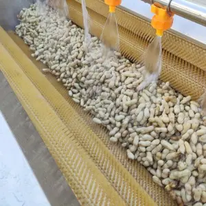 Cleaning Machine for Soft Brush Rollers Fresh Root Vegetable Fruit Washing Cold Water Used Condition Corn Soybean