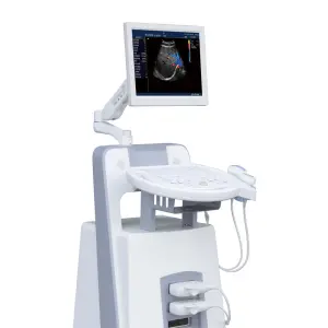 Portable 4d Ultrasound for Medical Diagnostic Imaging Center Using Color Ultrasound for Gynecology