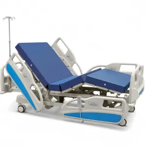 Hospital Furniture Medical Hospital Clinical Bed