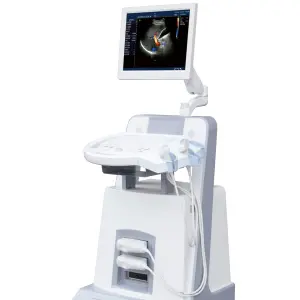 Color Ultrasound Scanner for Gynecology Portable 4d Ultrasound for Medical Diagnostic Imaging Center Using