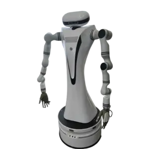 Dual-Arm Composite Robot with Motor Core Components for Household Cleaning