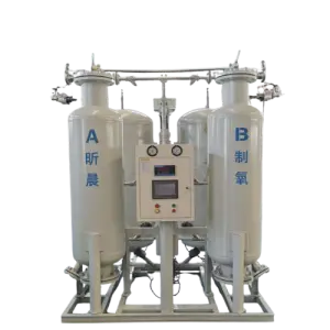 Oxygen Gas Making Machine 95% Psa Oxygen Generator Plant High Purity for Cylinder Filling Gas Generation Equipment