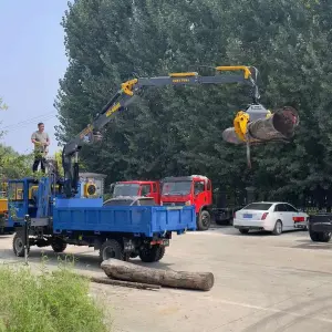 Wood Log Crane Carrier Trailer with Hydraulic Pump Grab Timber Crane