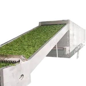 30 Tons Capacity Leaves Flowers Belt Dryer Machine Chervil Peppermint Stevia Lemongrass Marjoram Drying Equipment