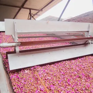 Automatic Dried Flower Herb Dryer Plantain Hibiscus Flower Drying Machine