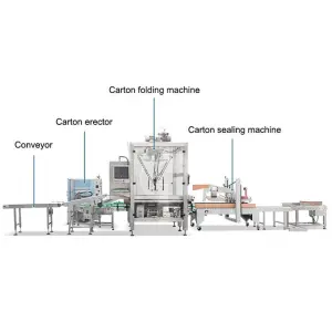 Automatic Carton Box Erector Machine Robotic Case Packer Line Carton Erecting and Pack Line