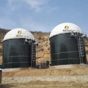 5000 M3 CSTR Anaerobic Digester Reactor Biogas Biodigestor System for Pig Farming