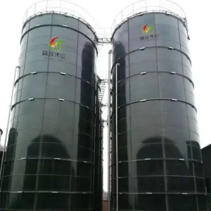 1000m3 - 2500m3 Biogas Digester Plant Biodigestor