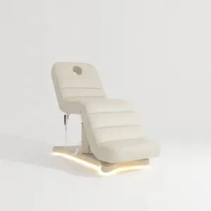 Electric Lift Facial Management Bed for Beauty Salon - Spa Massage Bed with Micro-whole Injection Function