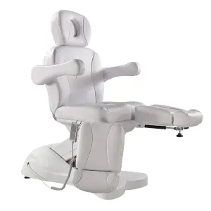 Beauty Salon Spa Multi Function Electric Massage Table Facial Chair Bed with 2 Motor or 3 Motor