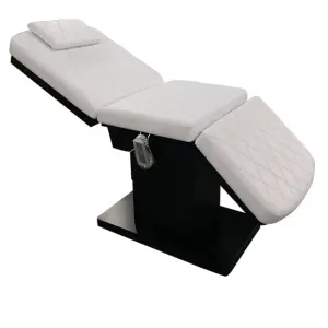 Luxury Modern Metal Frame Massage Table Adjustable Beauty Salon Facial Bed Treatment Bed